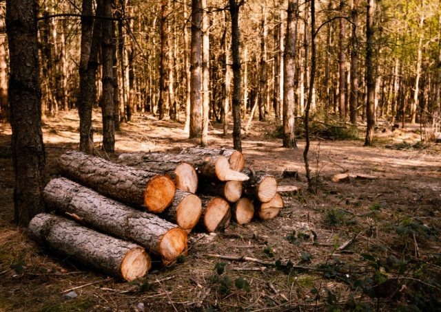     Изображение от wirestock на Freepik