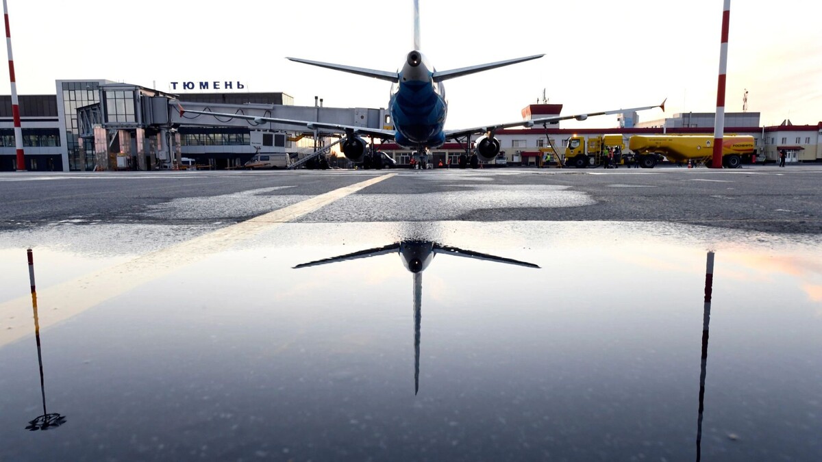    Фото: Sergey Nikonov/Shutterstock/Fotodom