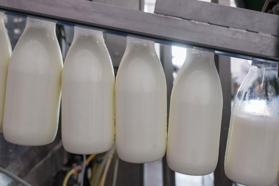    Наталья Шатохина/NEWS.ru