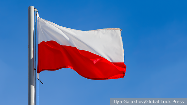     Фото: Ilya Galakhov/Global Look Press   
 Текст: Ольга Иванова