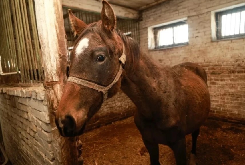 Фото: Олег Укладов