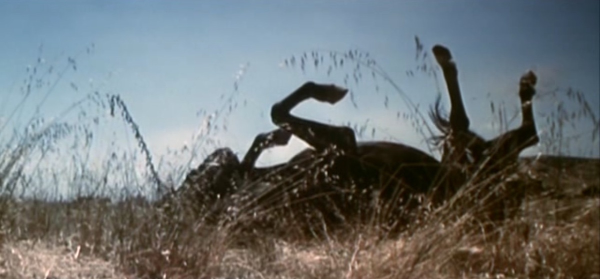 Безнадёжность