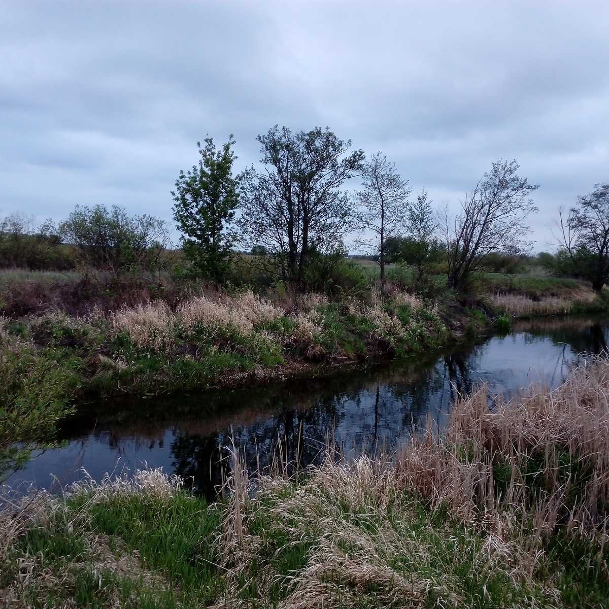 Совершенно обычное место в Воронежской области