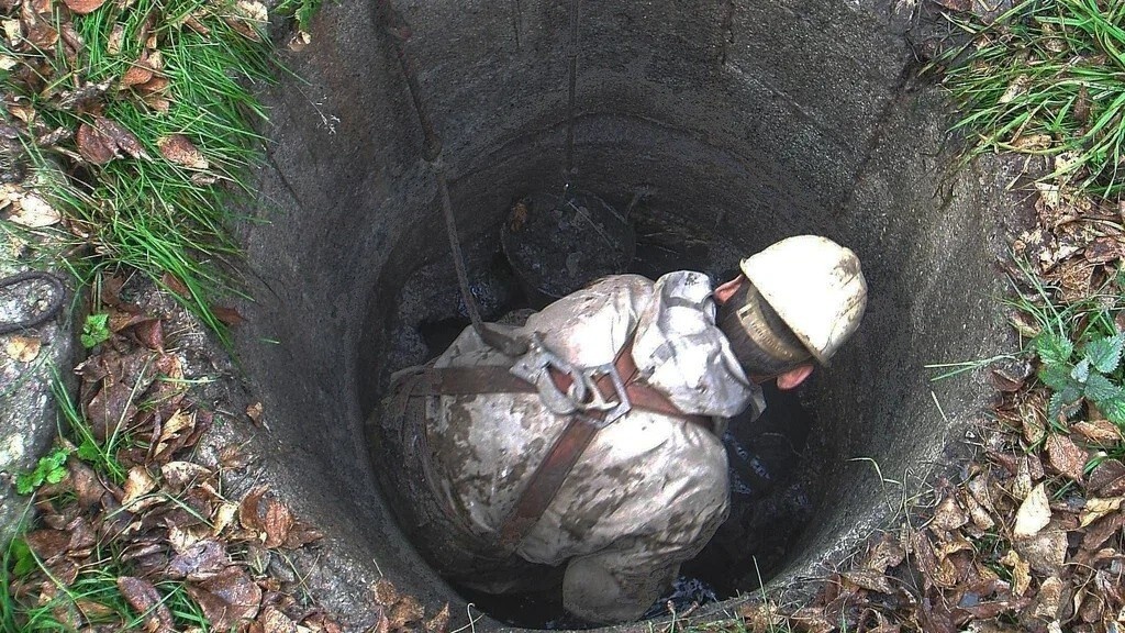 Фото из Яндекса