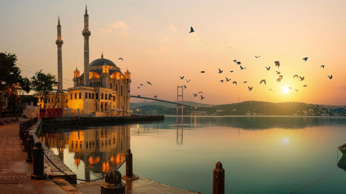    Фото: givaga/Shutterstock/Fotodom