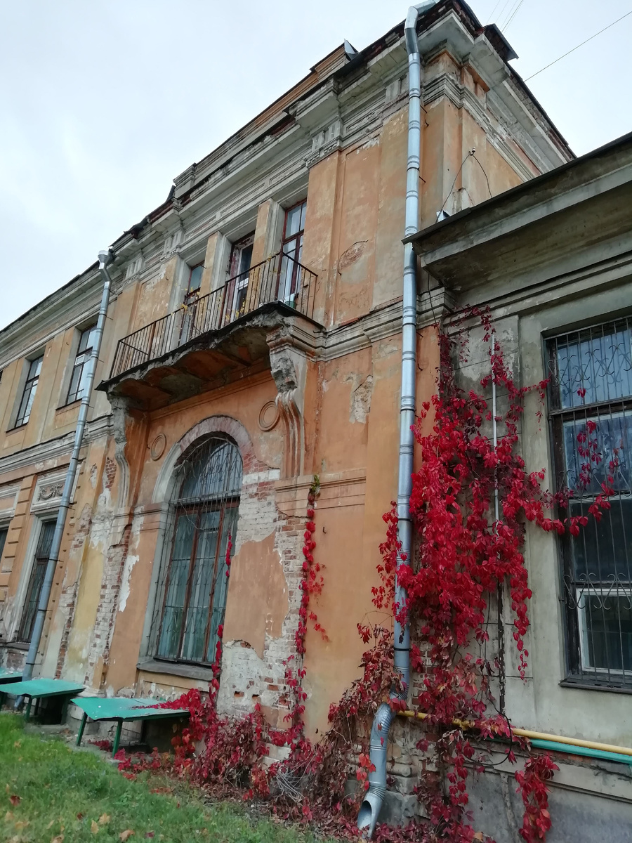 Фотографии автора