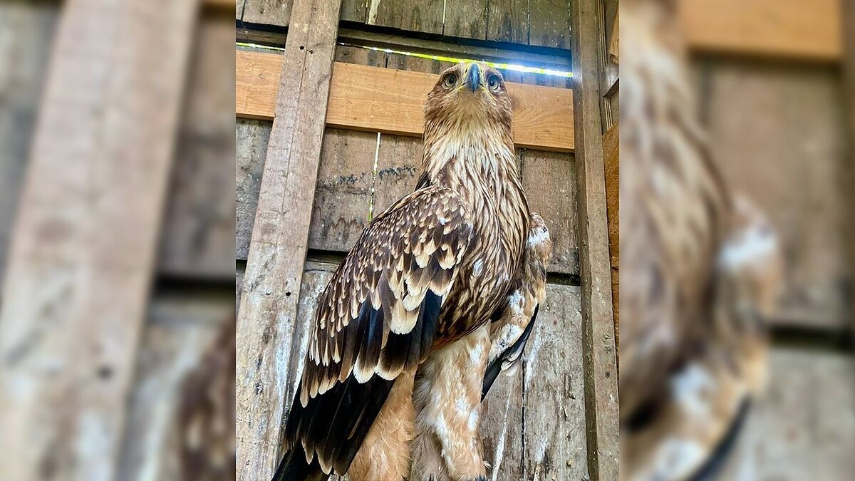    Фото: УМВД России по Сочи