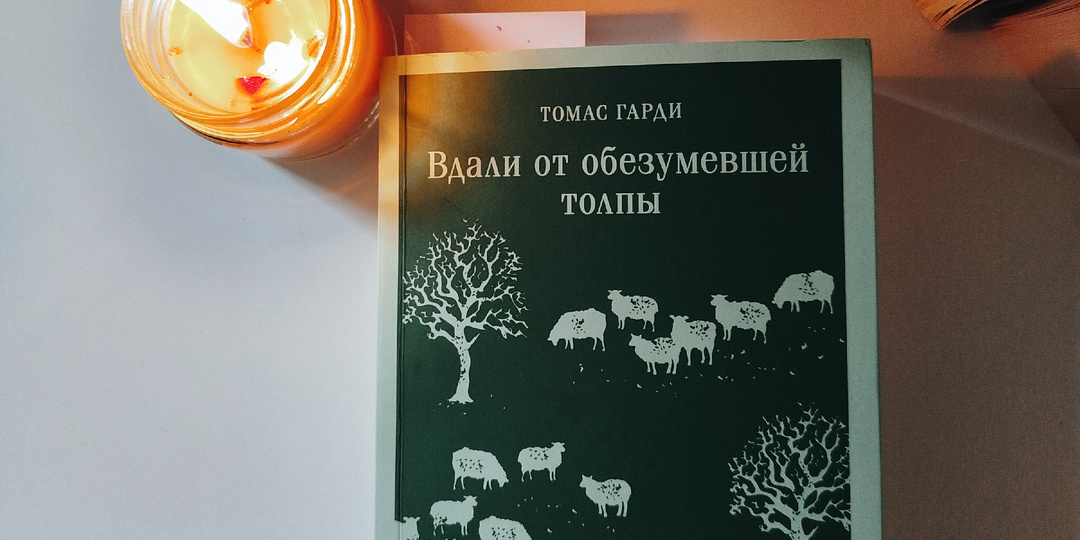 Вдали от обезумевшей толпы: выбор сердца или разума?