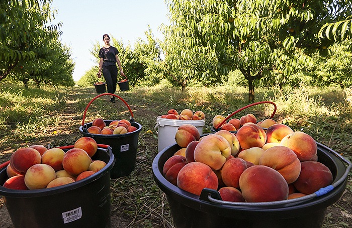    Сергей Мальгавко/ТАСС