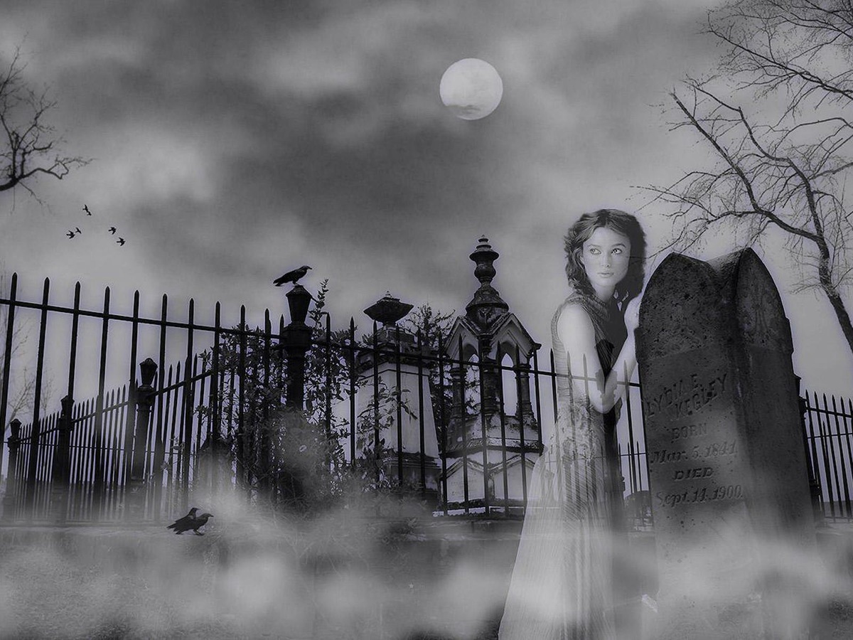 фото взято из открытого доступа в сети интернет на Яндекс картинки