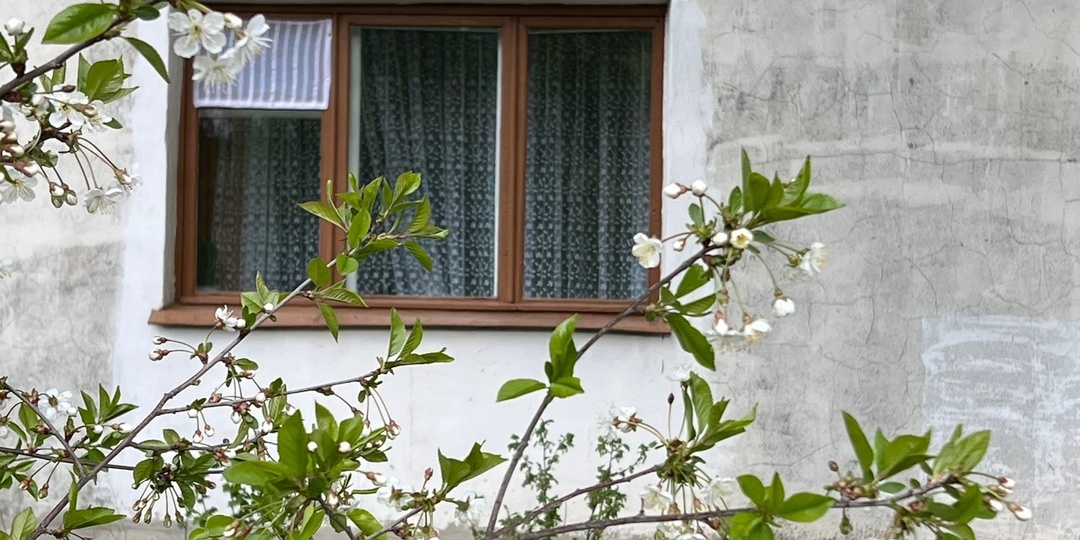 Медуллярный рак щитовидной железы. Моя история.