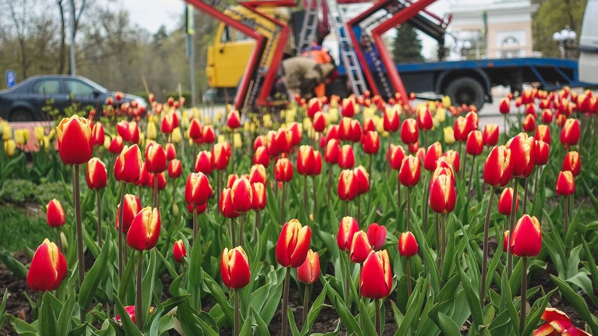     Источник: 1MI