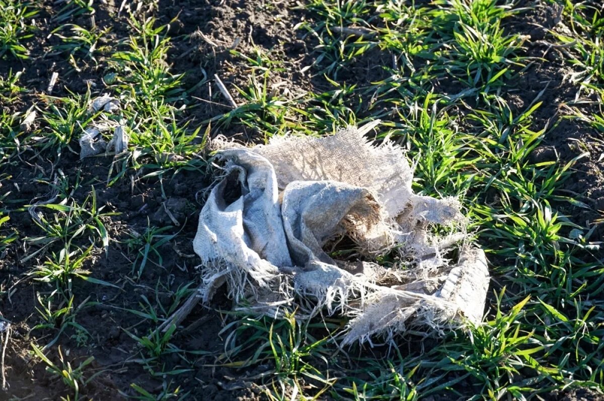    Закопайте тряпку в огороде.