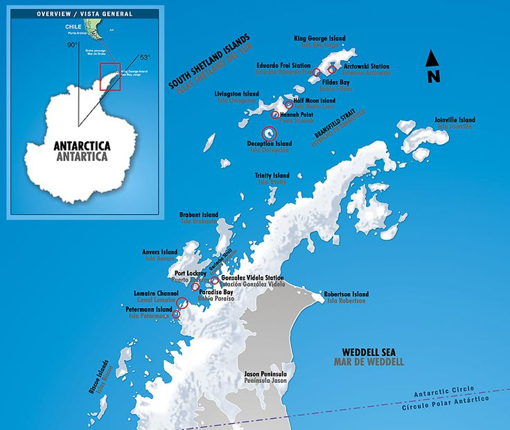 Карта, на которой обозначены Южные Шетландские острова