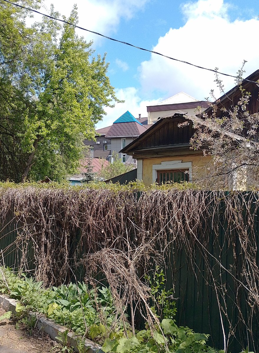 Фото автора.