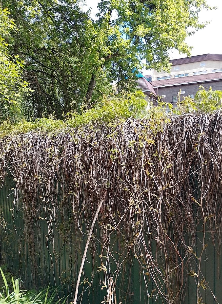 Фото автора.