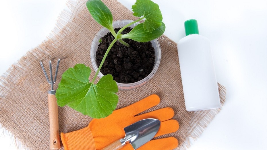 ShutterStock/Fotodom.ru