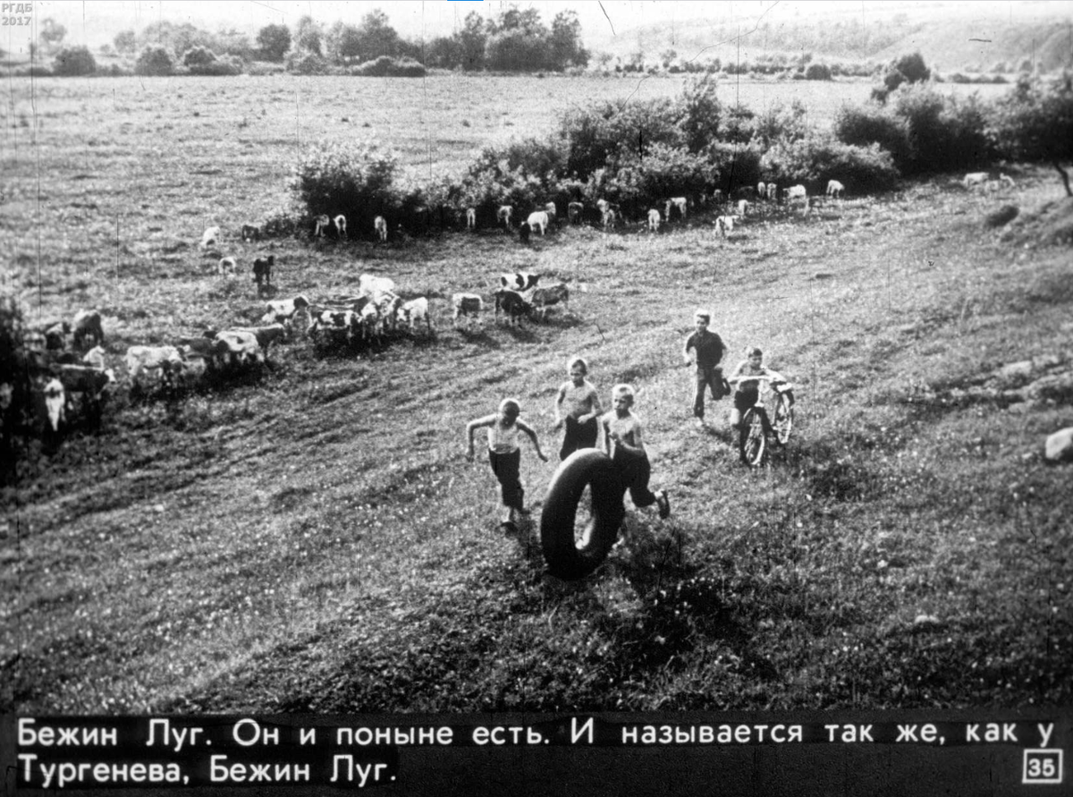 Кадр из диафильма «Что видит аист?», вышедшего в 1972 г. Автор фото: Василий Песков