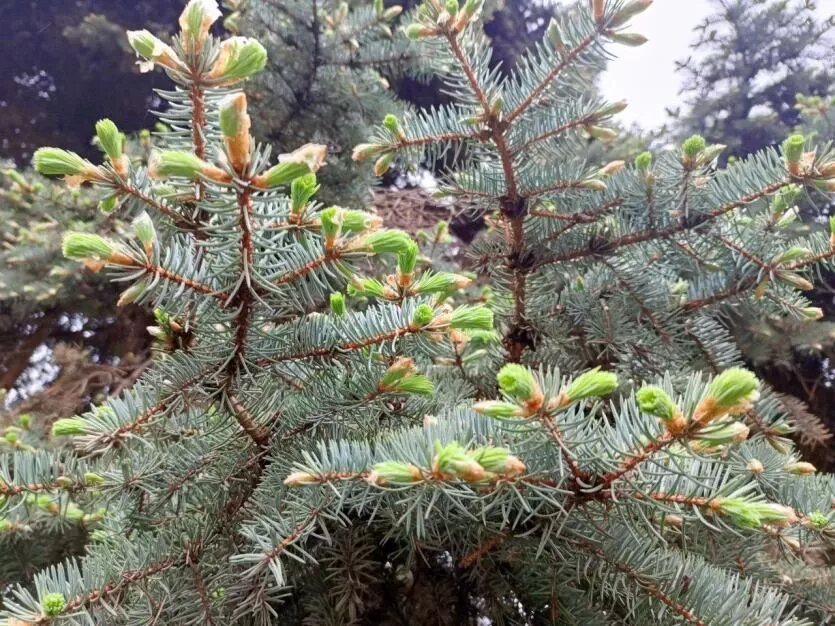 Фото: Евгения Александрова