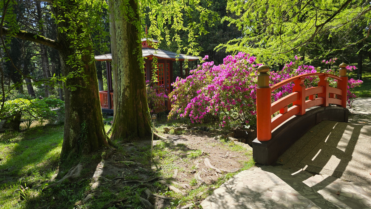 Японский садик Сочинского дендрария. Май 