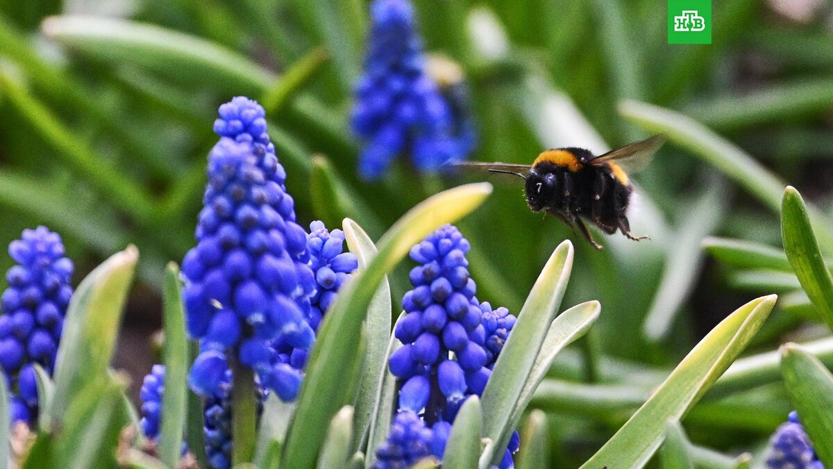    Фото: РИА Новости © 2025, Владимир Астапкович