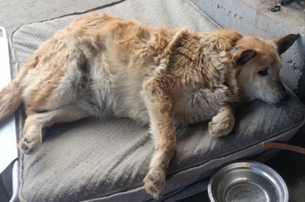    Выкинул из багажника.