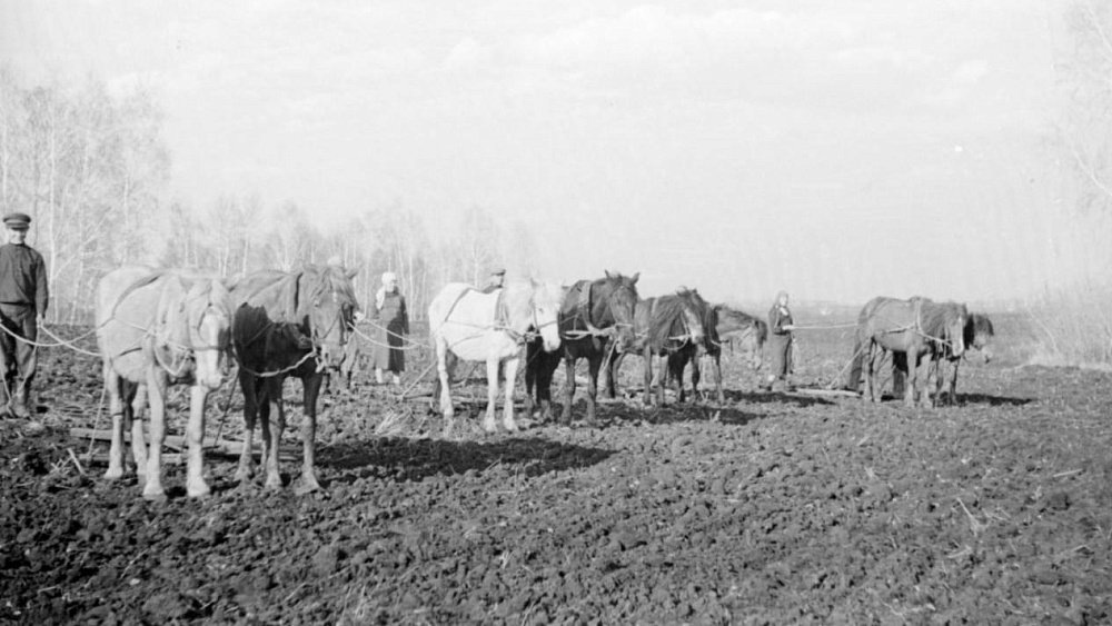 Фото: из фондов РГАКФД