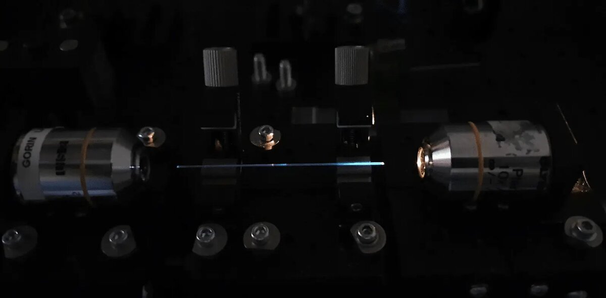    Фото: naked-science.ru Павел Евсеев