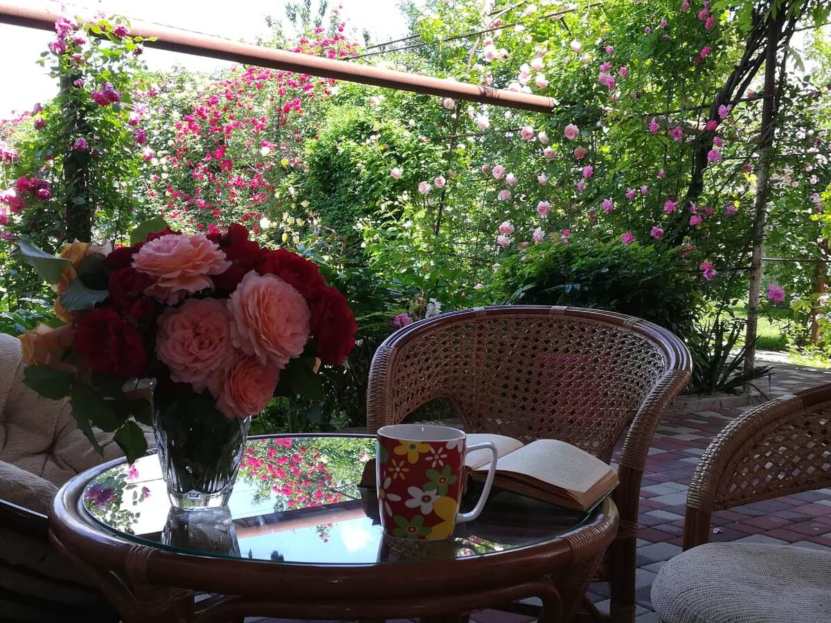 С книгой по жизни. 