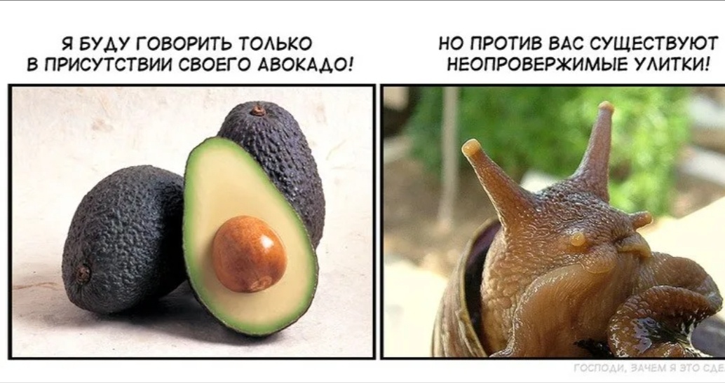 Яндекс Картинки 