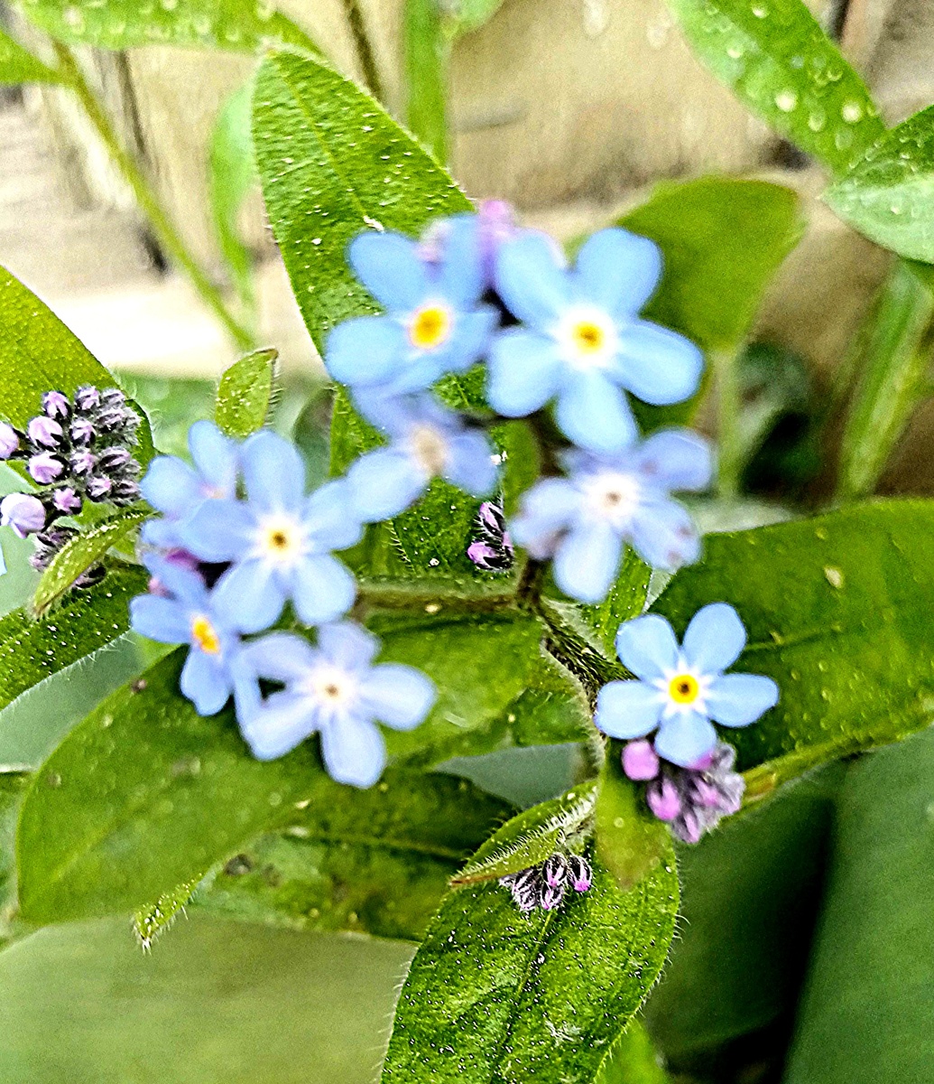 Автор Татьяна Федотова