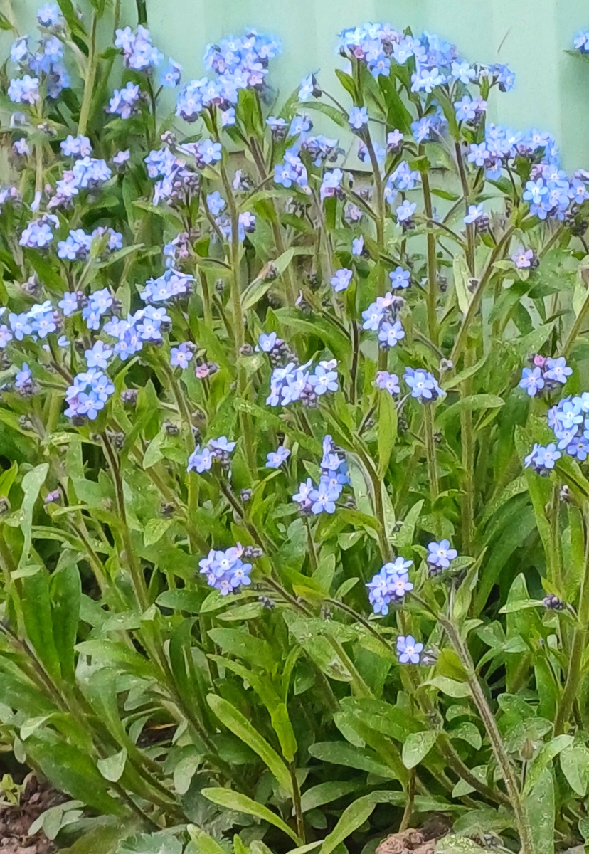 Автор Татьяна Федотова