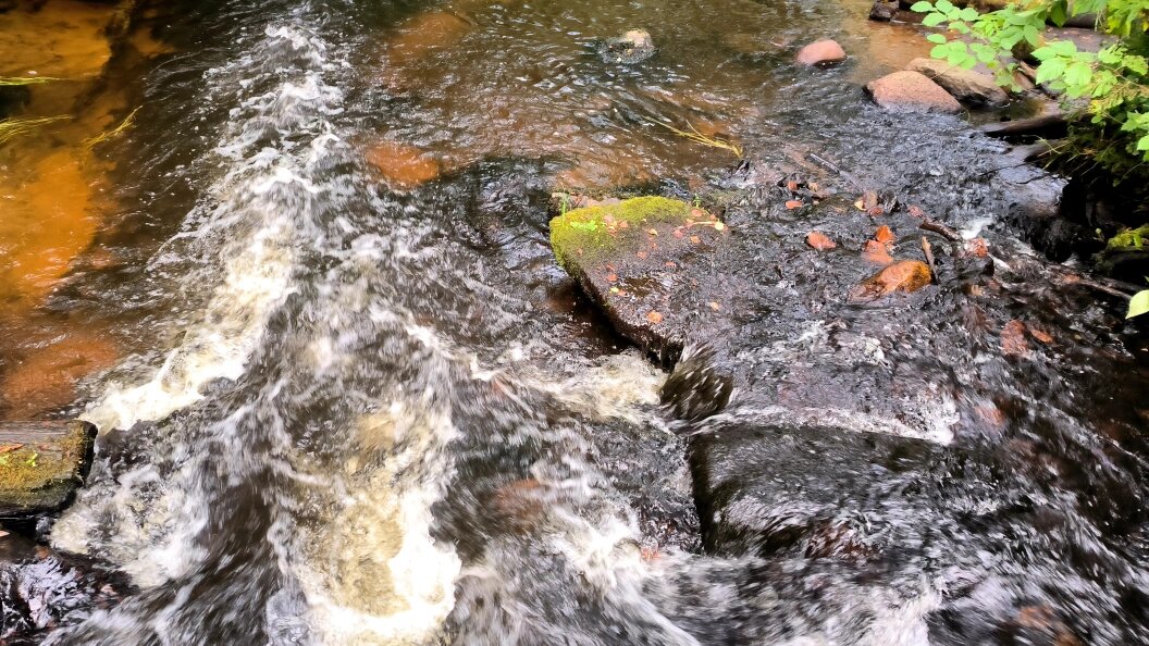    Maksim Konstantinov/Global Look Press