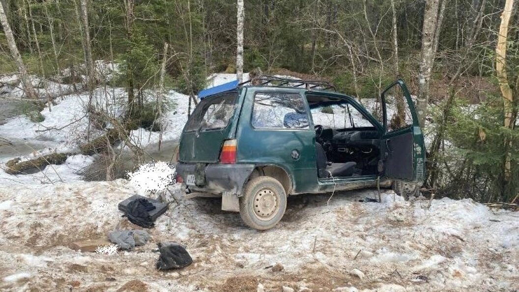    Фото: Госавтоинспекция Архангельской области