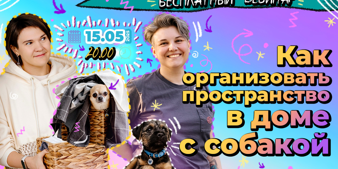 Бесплатный вебинар про организацию пространства в доме с собакой