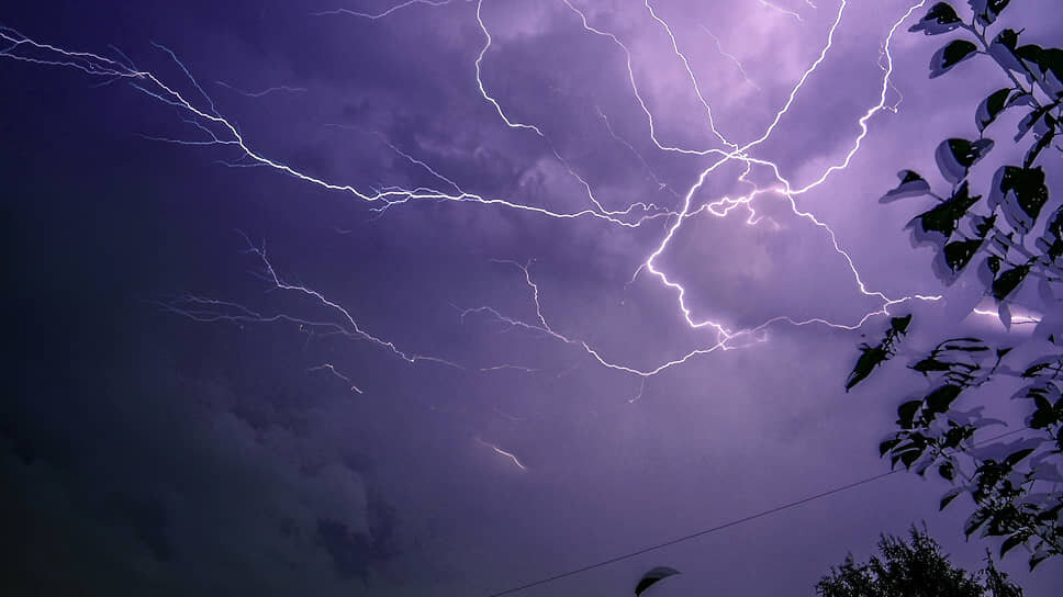 Фото: Александр Баранов / Коммерсантъ