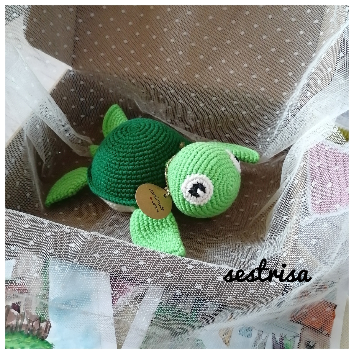 Черепашка по описанию из Интернета