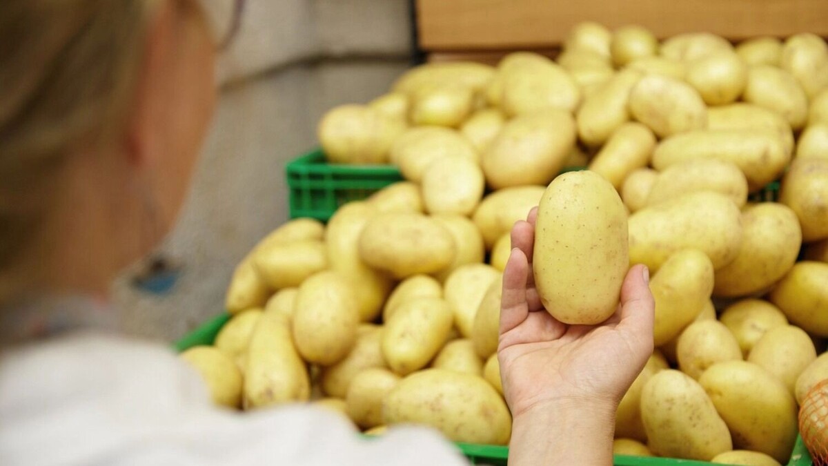     Автор: Wayhomestudio/freepik