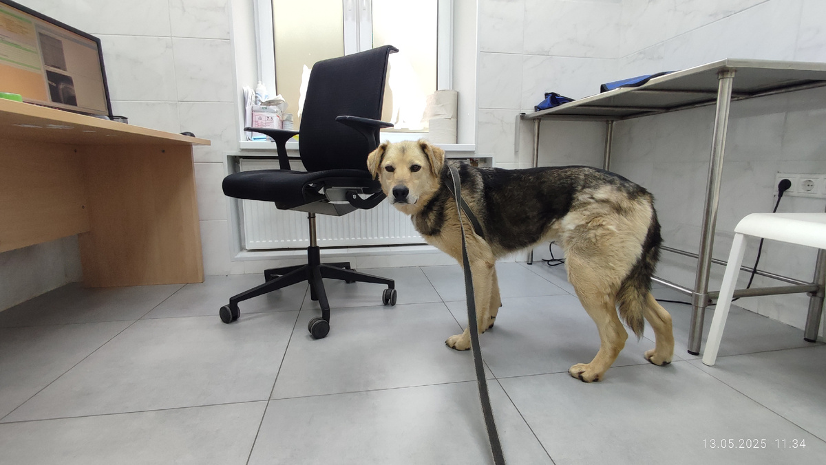 Марио у ортопеда на приеме перед операцией