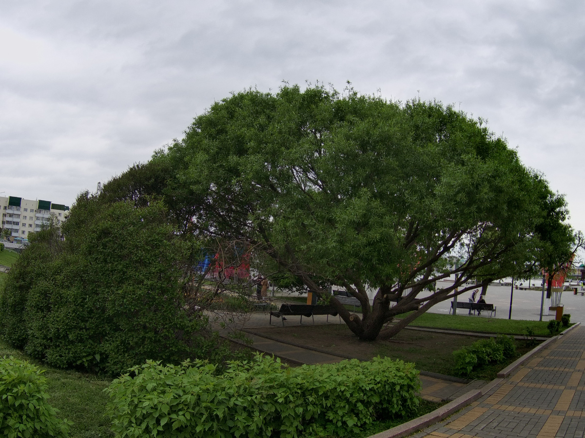 Фото автора