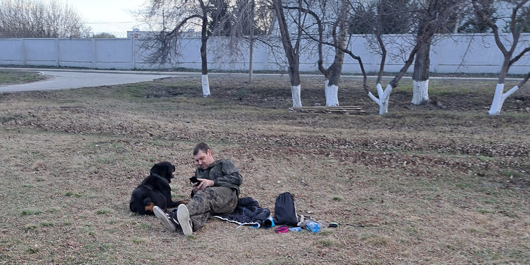 Чтобы собака стала уважать хозяина, её необходимо отдать.