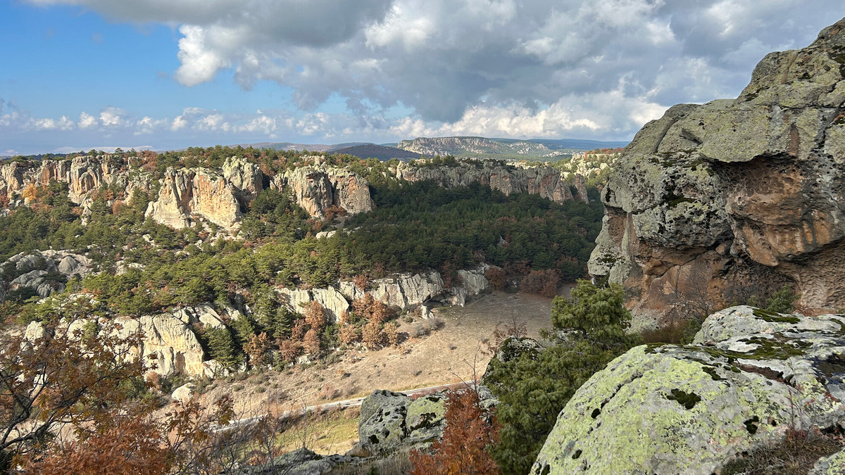 Фригия, в отличие от пустынной Каппадокии, по-прежнему может похвастаться шикарными лесами. Фото: Алёна Тунч