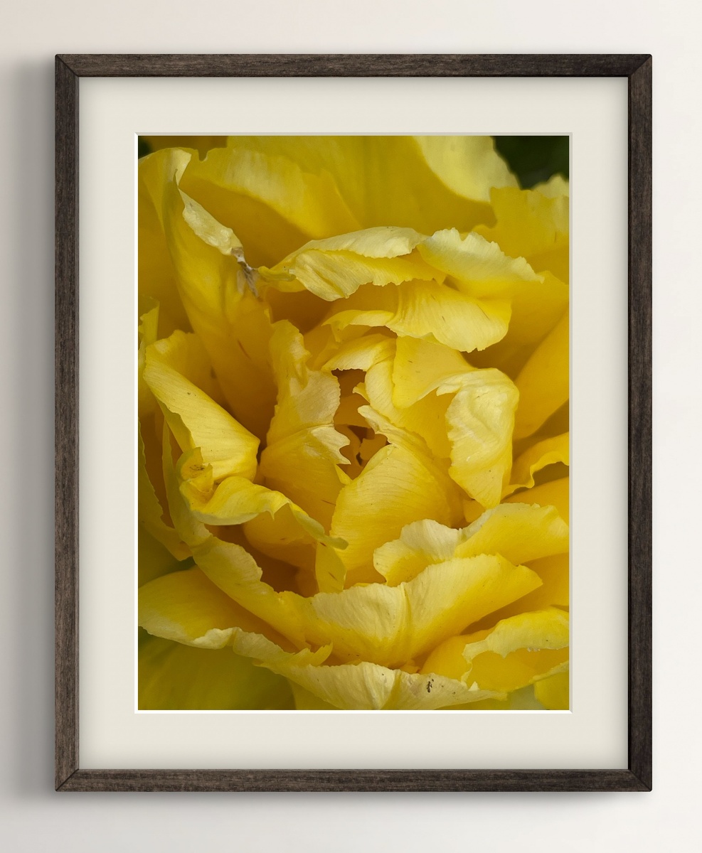 "Солнце в лепестках" работа Ирины Селиной