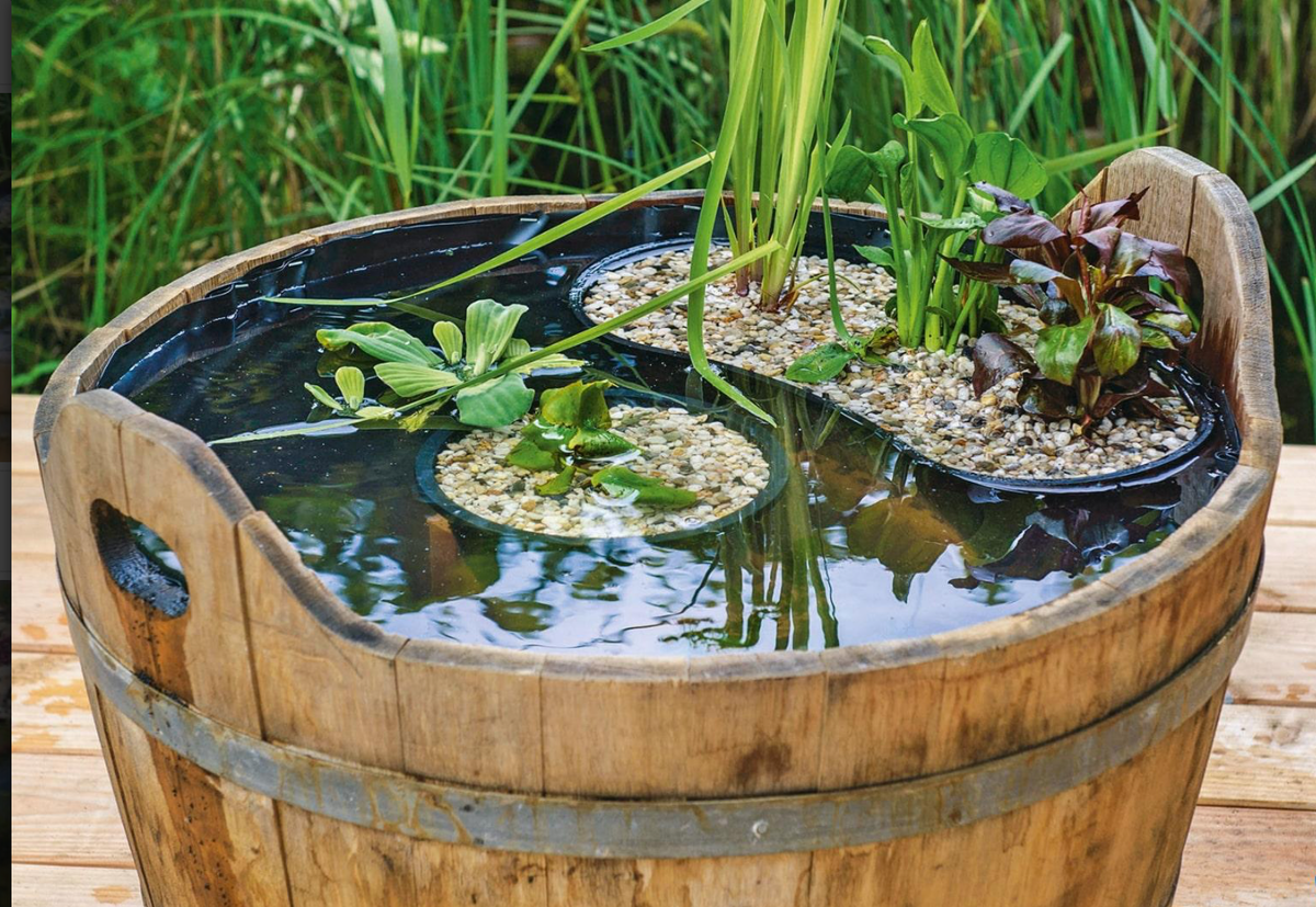 Фото из интернета