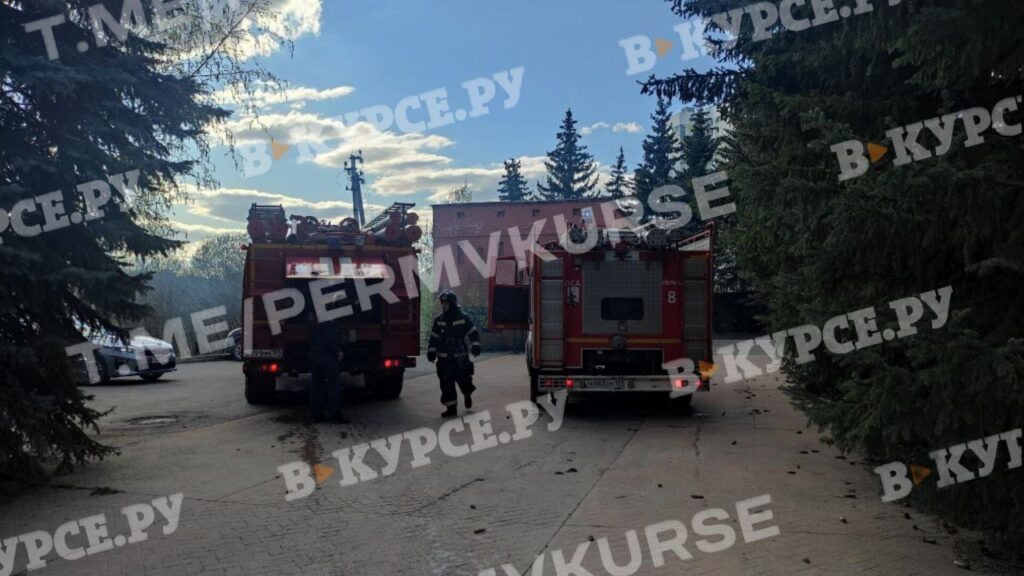    Фото: В курсе.ру Полина Анкушина