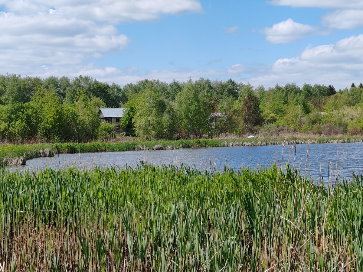 Фото автора канала 