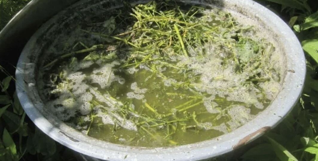 Состав травяного удобрения (бродиловки): рецепт и нюансы приготовления