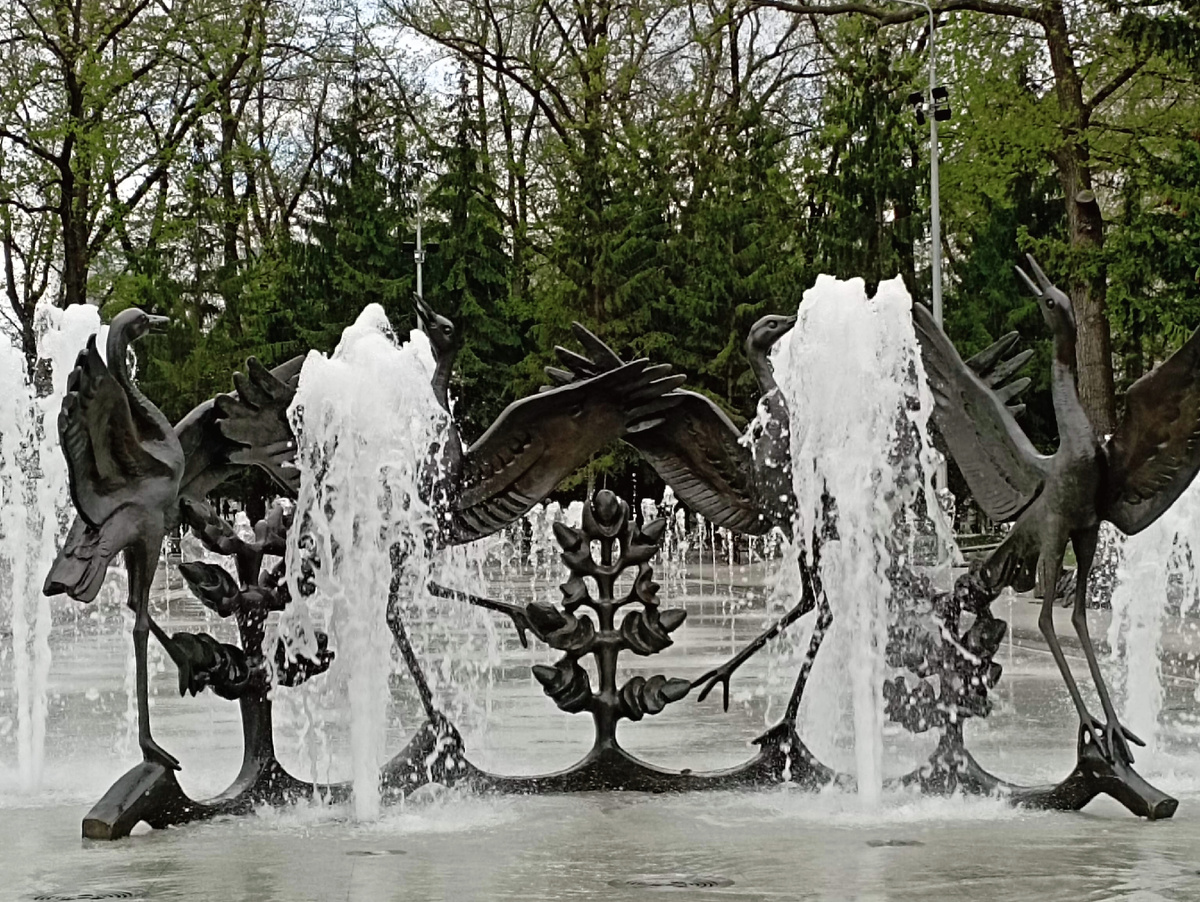 Личное фото