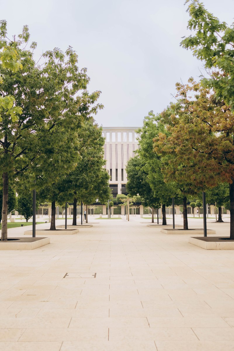 Вид на стадион Краснодар