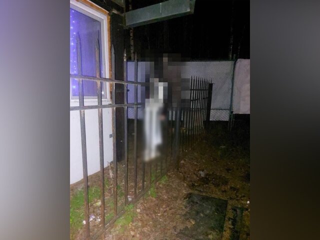    Фото: телеграм-канал Baza